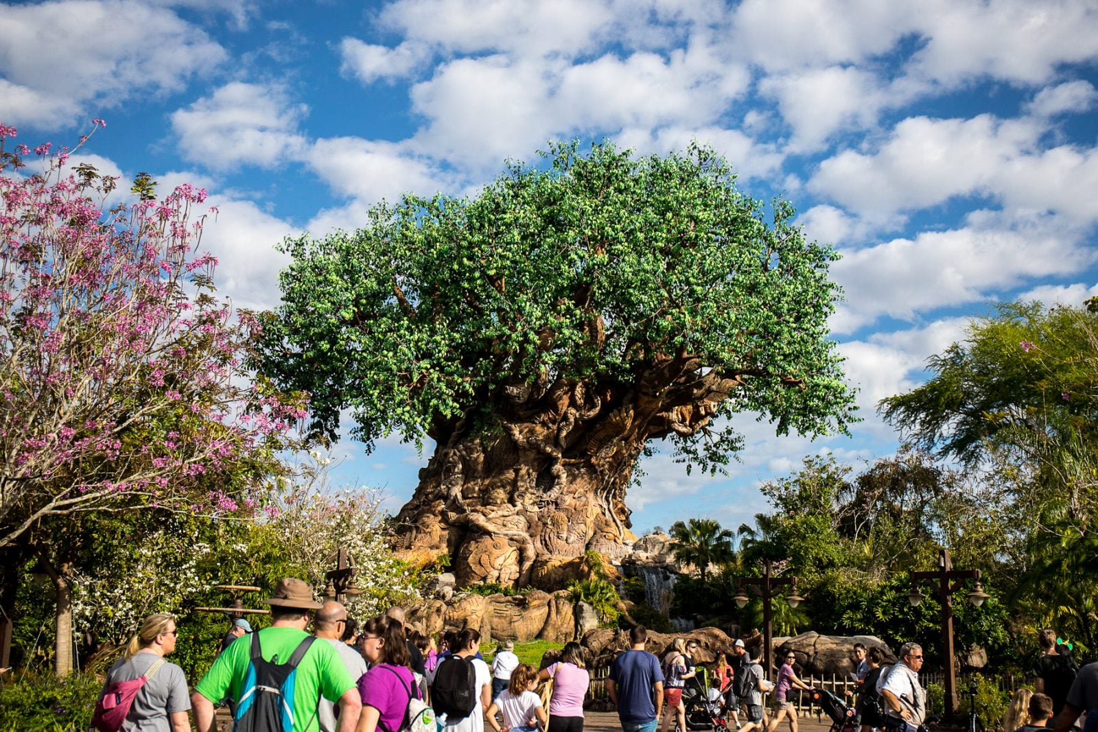 Visit Disney Animal Kingdom Park in Orlando | Vacome Luxury Rentals